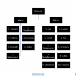 Macro dan Micro Mineral Untuk Ternakan