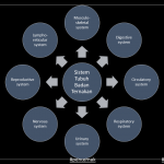 Sistem Tubuh Badan Ternakan