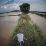 Langkah Memupuk Minat Anak Terhadap Penternakan