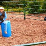 Kursus Latihan Penternakan Secara Atas Talian