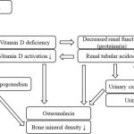 Patofisiologi osteomalasia