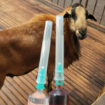 Kenapa rawatan tidak berkesan